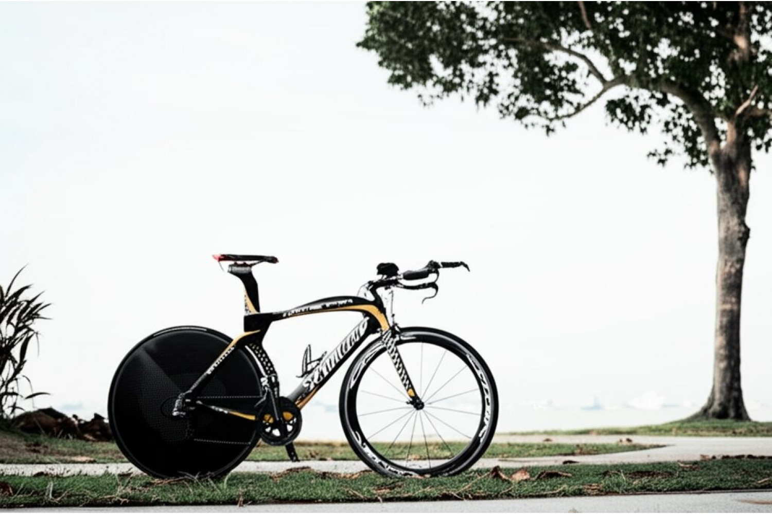 ТОП-10 Интересных Фактов о Триатлоне