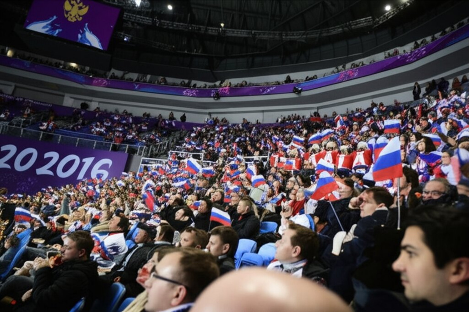 ТОП-10 самых популярных видов спорта в России 2025 – SportGoroda.ru