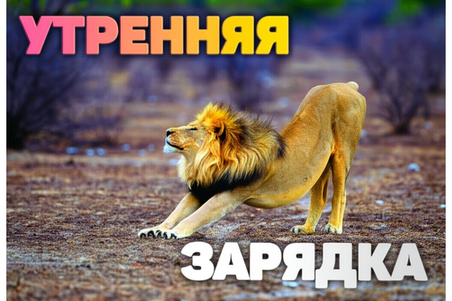 Утренняя зарядка - лучшее начало дня