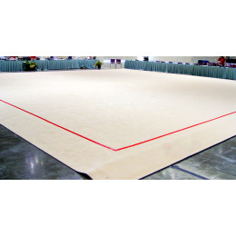 Гимнастический ковер 10х10м