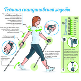 Палка, пробковая ручка, для скандинавской ходьбы, 80-135 см