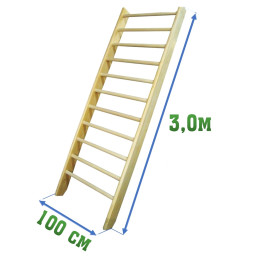 Стенка 3,0х1м (гимнастическая, шведская)